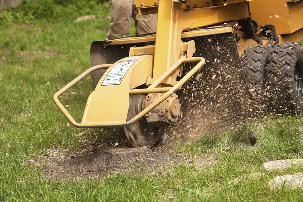 stump removal bothell wa